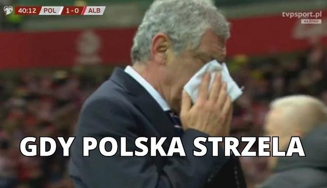 Polska - Albania MEMY po meczu