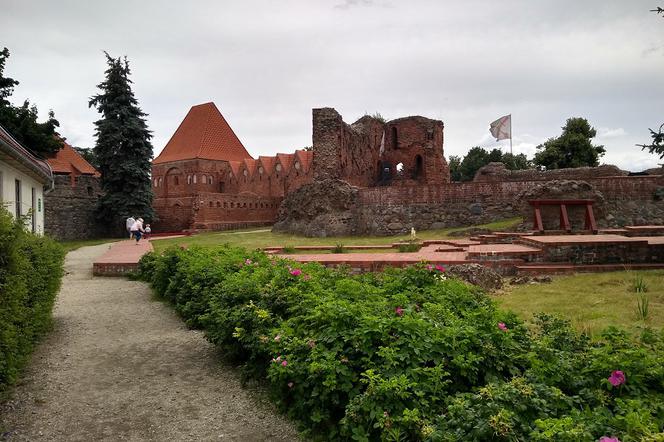 Zamek krzyżacki w Toruniu