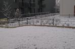 Śnieg we Wrocławiu