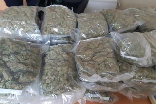 Zdjęcie z interwencji Policji