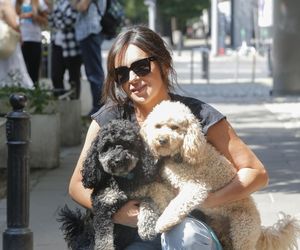 Te psy skradły serca gwiazd! 