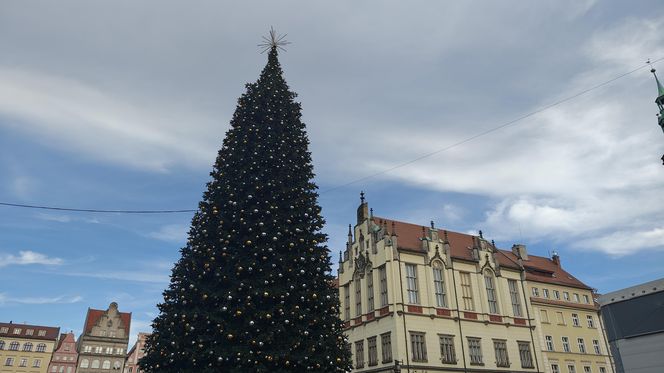 Choinka za milion złotych stanęła we Wrocławiu. Tak wygląda luksusowe drzewko 