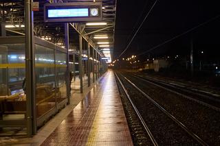 Dodatkowe pociągi ruszyły z Torunia do Czernikowa