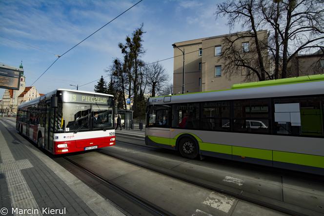 Olsztyn. Ruszają wzmożone kontrole pasażerów w komunikacji miejskiej. Posypią się mandaty!