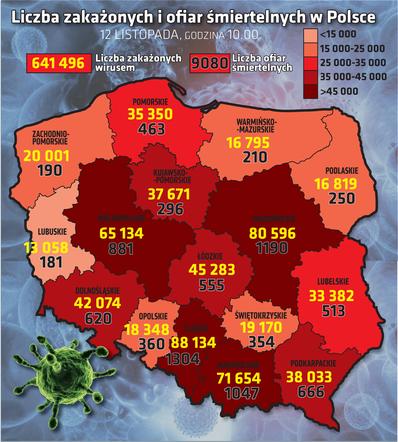 wirus Polska województwa 12 11 2020