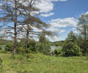 To jezioro w Olsztynie ma niezwykle czystą wodę. Jest kilka dzikich plaż, które świecą pustkami