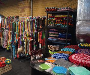 Psiaki opanowały Halę Targową! Za nami wyjątkowe targi 