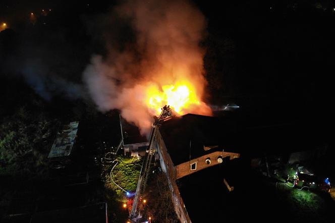 POŻAR w schronisku dla bezdomnych! TRWA AKCJA gaśnicza