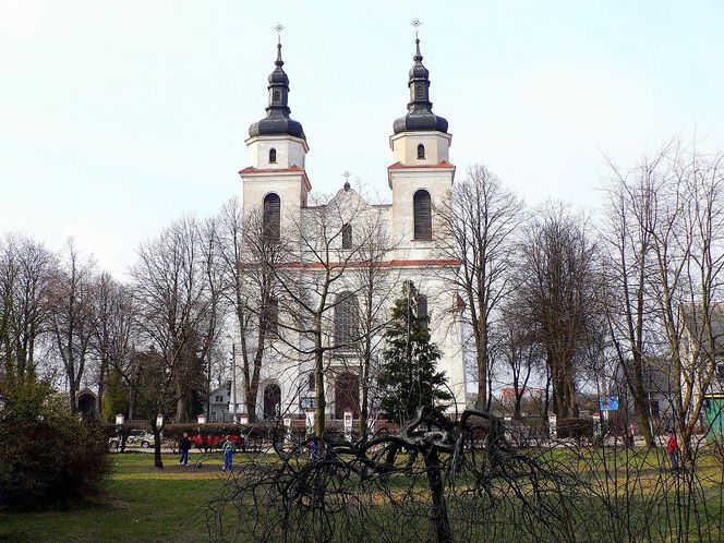 Powiat łomżyński