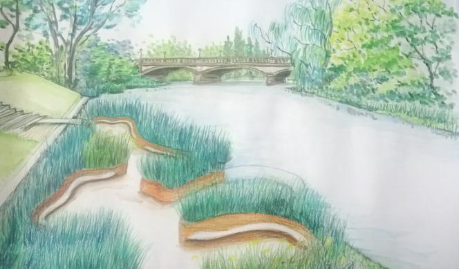 Koncepcja ogrodu wodnego okolicach mostu Oławskiego