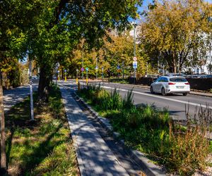 Park linearny na Bielanach w Warszawie