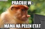 Memy na Dzień Mamy 2025
