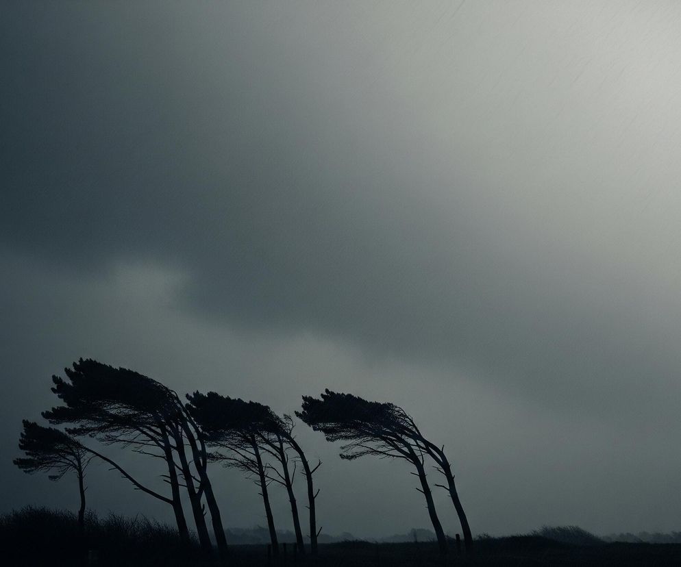 Grupa ciemnych drzew o pochylonych pniach i rozwianych koronach znajduje się w dolnej części kadru, na tle szarego nieba. Sylwetki drzew są niemal czarne, kontrastują z jaśniejszym, zamglonym horyzontem. Większa część obrazu to niebo, które przechodzi od ciemnego granatu po lewej do jasnej, niemal białej szarości po prawej stronie, z widocznymi skośnymi liniami, sugerującymi padający deszcz.