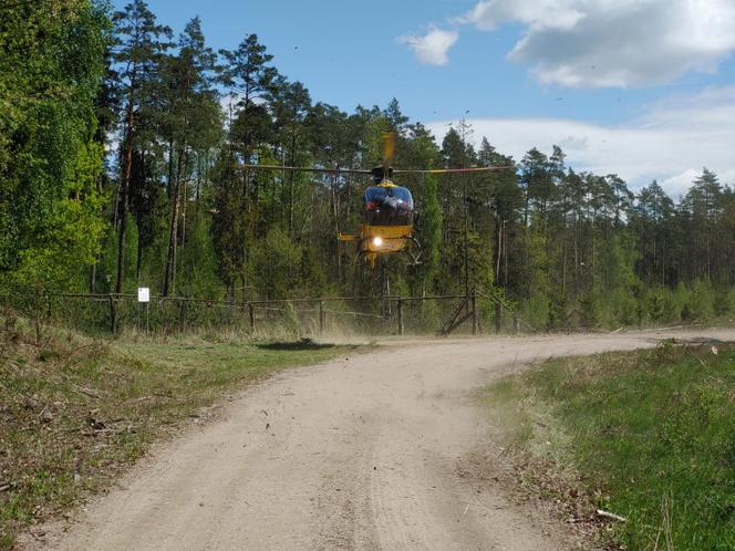 Tragiczny wypadek podczas prac leśnych w gminie Orzysz