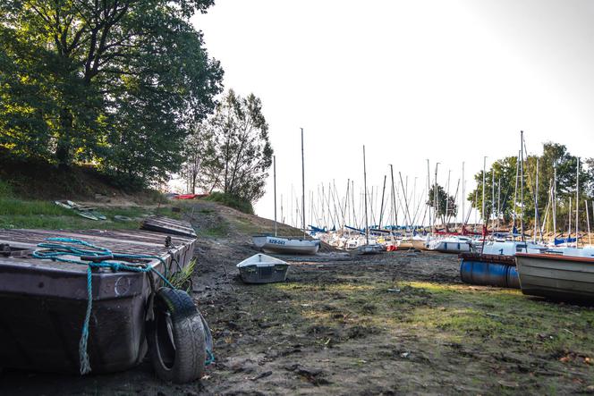 Susza w Jeziorze Żywieckim