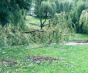 Armagedon w Kielcach i Świętokrzyskiem! Nawałnica wyrządziła dużo szkód