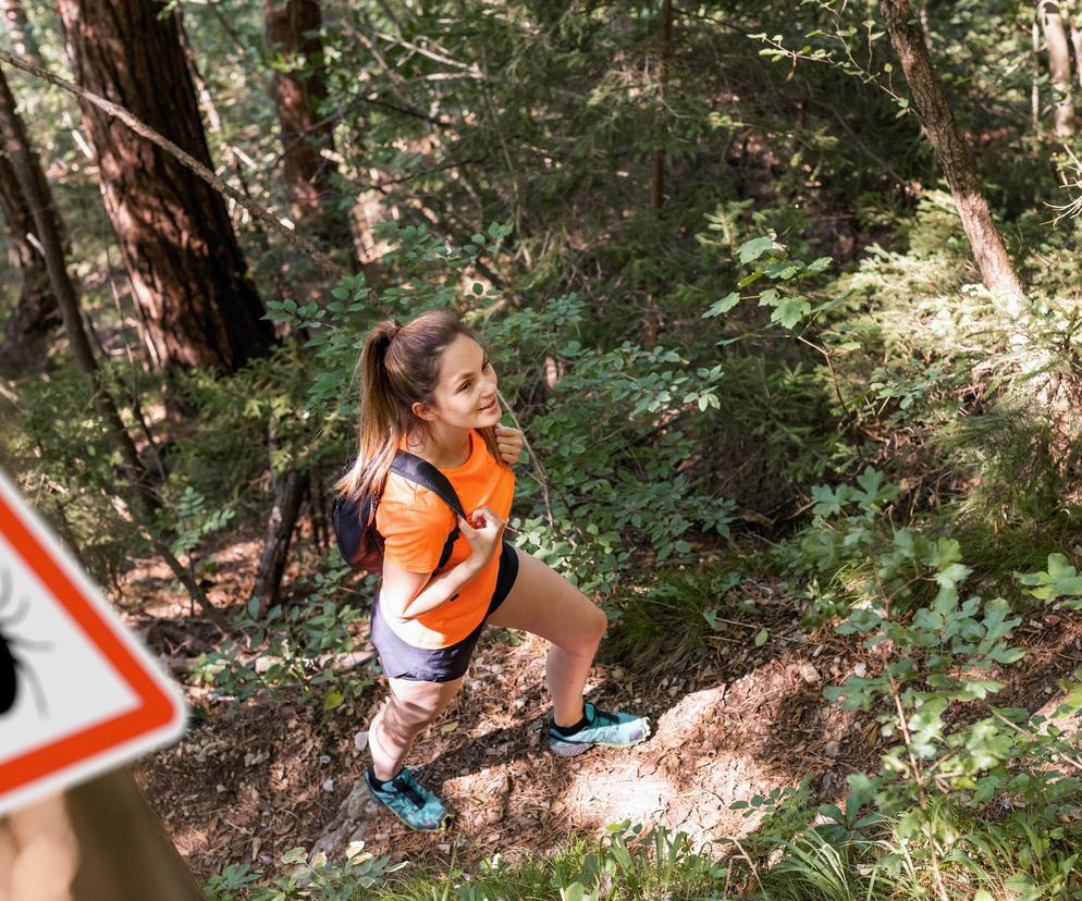 Uchroń się przed kleszczem. Leśnicy dzielą się dekalogiem: 5. Ubieraj jasne kolory