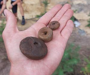 Niezwykłe odkrycie archeologiczne w Osiu pod Świeciem. W lesie jest cmentarzysko starożytnych Gotów
