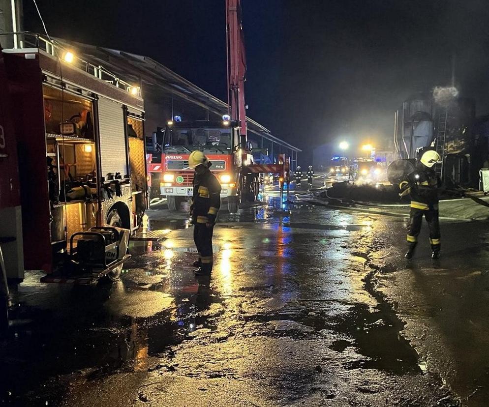 Ogromny pożar w Łódzkiem! W płomieniach zginęło ponad 2 tysiące zwierząt. Strażacy podali przyczynę [ZDJĘCIA]