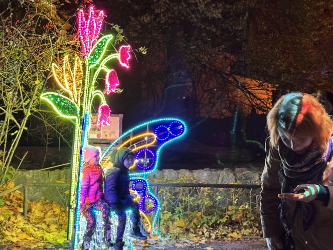 Garden of Lights we Wrocławiu