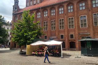 Rynek Staromiejski w Toruniu