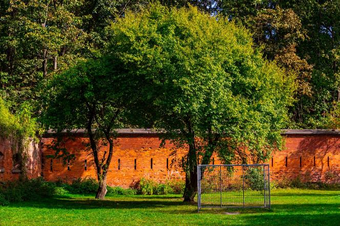 Park Fosa i Stoki Cytadeli w Warszawie