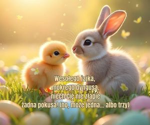 Śmieszne kartki wielkanocne