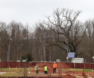 Nowy budynek powstaje przy Dębie Bartku w Zagnańsku