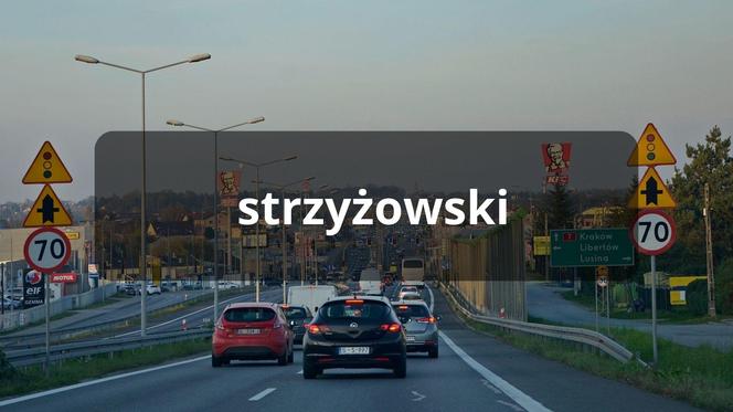 strzyżowski 