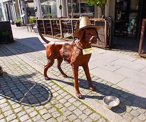 Ystad - malownicze szwedzkie miasteczko nad Bałtykiem