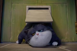 Był sobie kot - zdjęcia z filmu