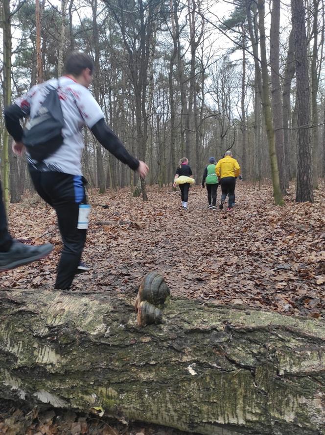 XXXVIII Bieg Sylwestrowy. Ostatni dzień w roku na sportowo