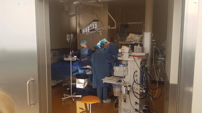 Szpitale wznawiają zabiegi planowe 