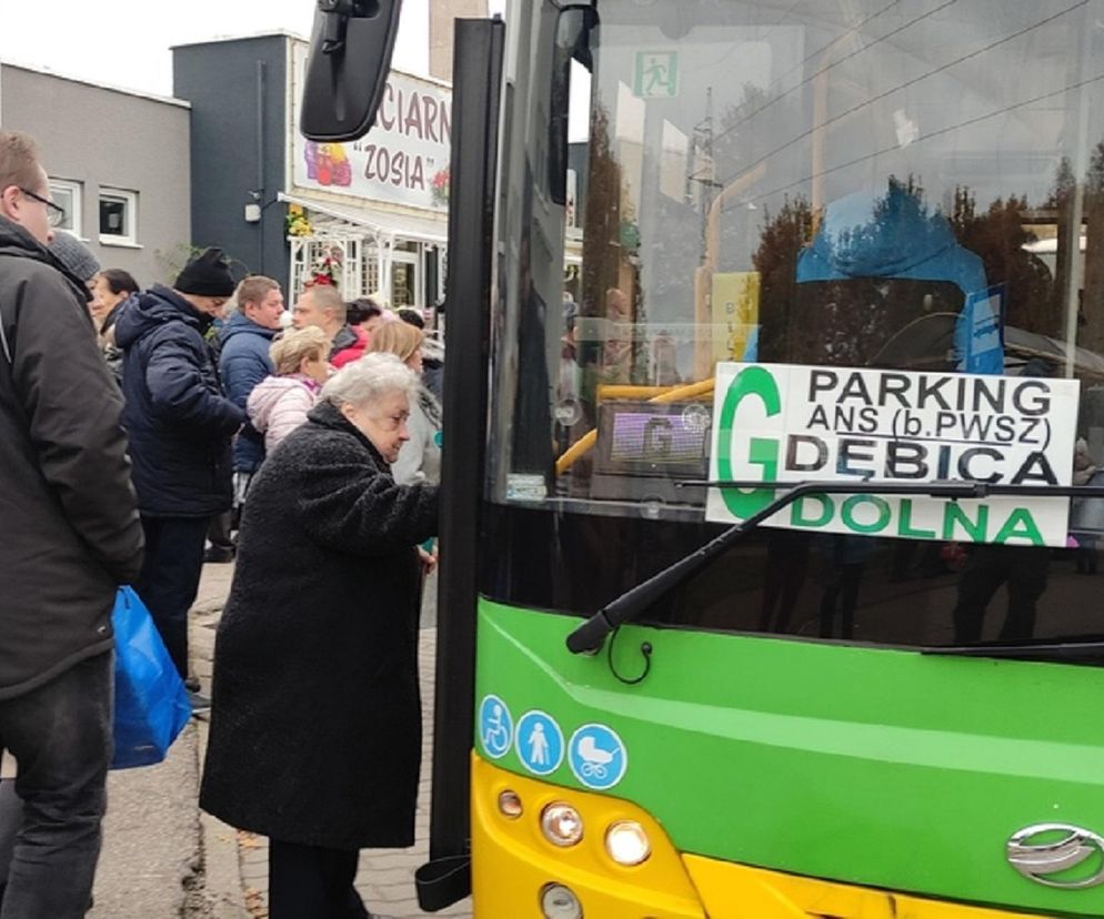 Elbląska komunikacja miejska na Wszystkich  Świętych