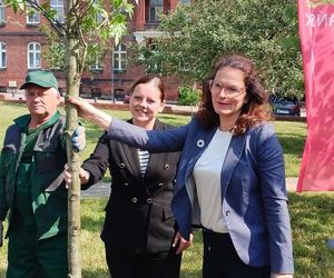 Obietnica frekwencyjna dotrzymana! Prezydentki Gdańska i Gdyni zasadziły drzewo