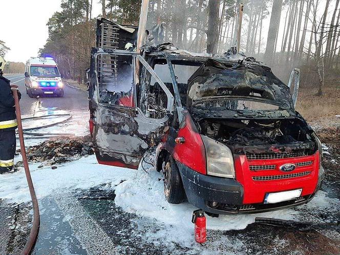 Zobaczcie jak przebiegała akcja strażaków. 