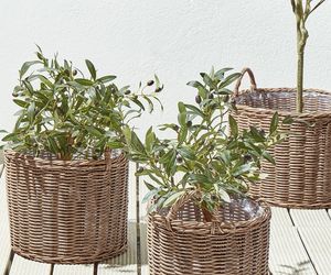 Modne donice na balkon i taras. Co warto kupić w 2025?
