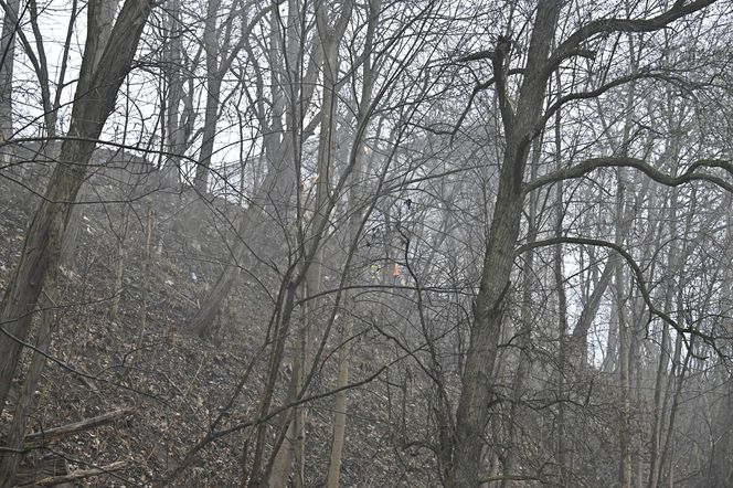 Wielka akcja policji w Nowym Dworze Mazowieckim. Znaleziono ludzkie szczątki