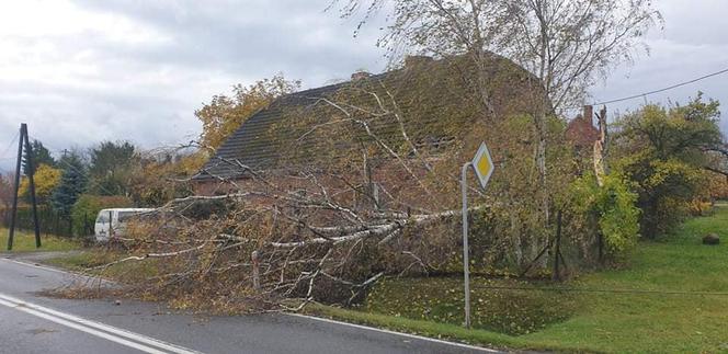 Potężna nawałnica przeszła przez Bydgoszcz i region! [ZDJĘCIA]
