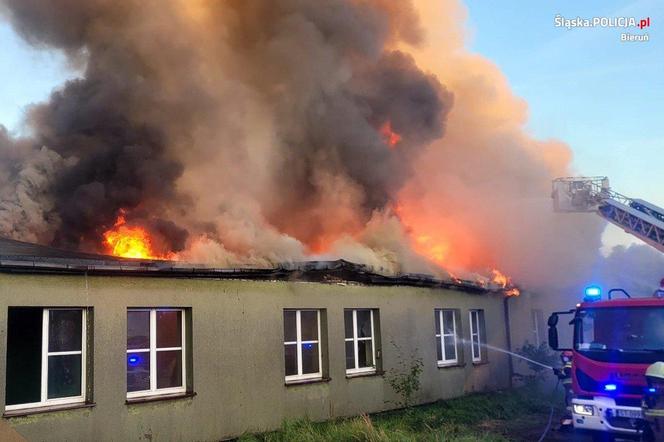 16-latek i 14-latek podpalili pustostan, spłonął cały budynek. Straty to 2 mln zł!