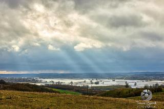 Rozlewisko Odry w powiecie gryfińskim 