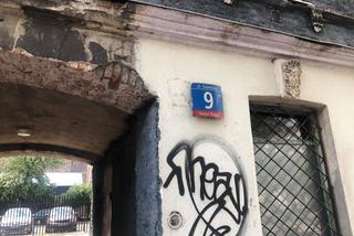 Praga Północ: Plaga szczurów w kamienicy. Mieszkańcy śpią w samochodach 