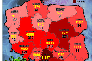 Koronawirus w Polsce: Nowe powiaty żółte i czerwone! Będą OSTRE restrykcje [LISTA]