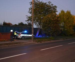 Tragiczny wypadek na torach w Poniecu, w pow. gostyńskim. Nie żyje starszy mężczyzna