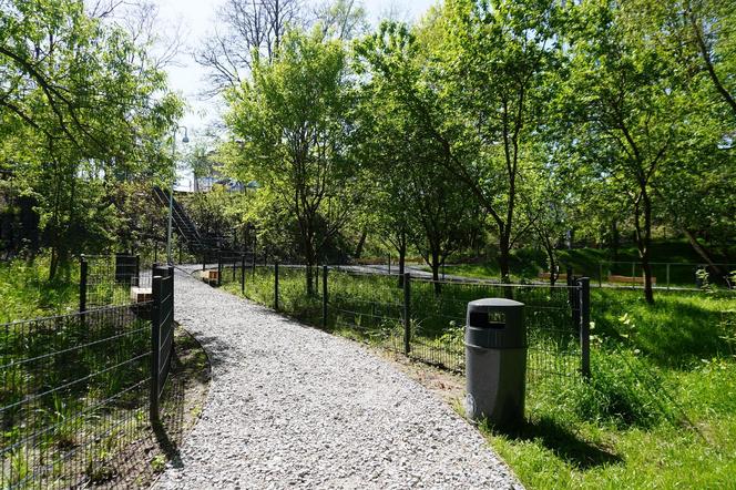 Tak wygląda park w dolinie Ślepiotki w Katowicach