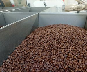 Cukiernia Sowa, linia produkcyjna