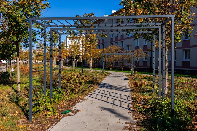 Park linearny na Bielanach w Warszawie