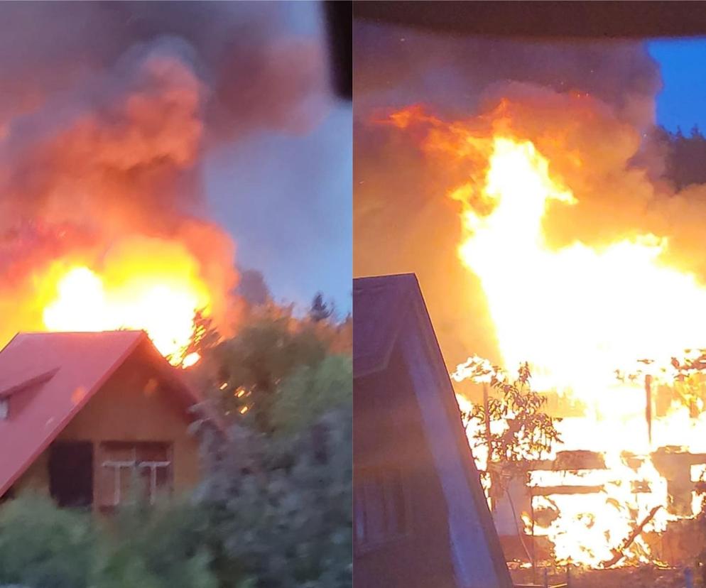 Pożar domku letniskowego na działkach ROD w Toruniu