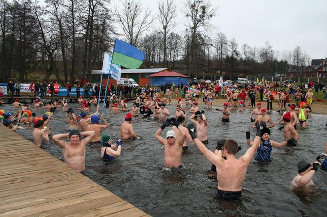 Morsy wracają na plażę w Starych Jabłonkach  [AUDIO]