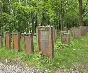 Cmentarz żydowski w Leżajsku